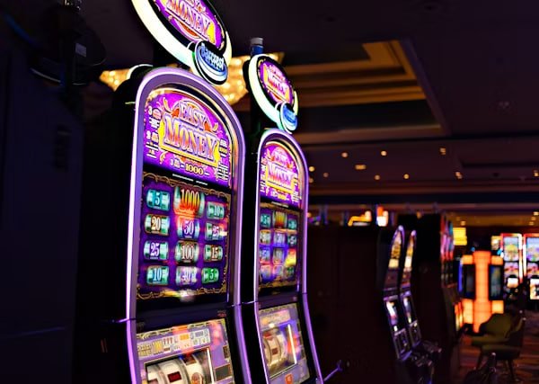 bigwinbet